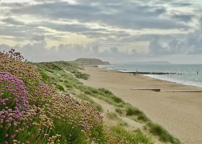 El Nido - Cosy Cabin In Southbourne, 5 Mins From Beach